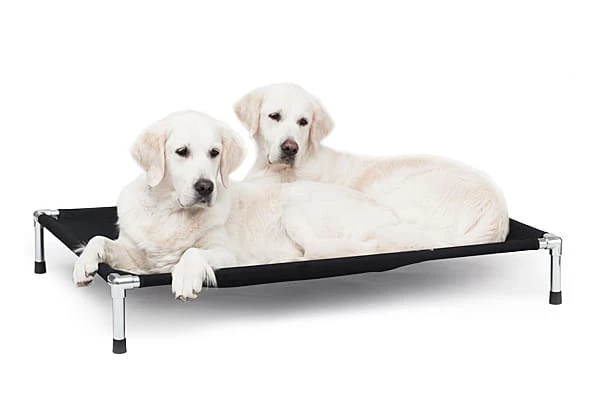 Doogi bed