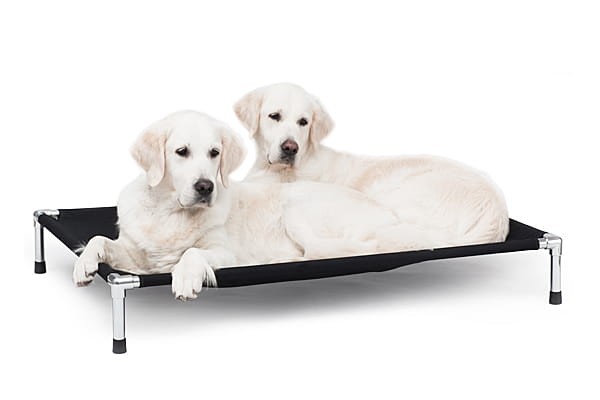 Doogi bed
